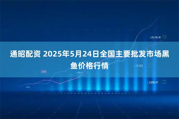 通昭配资 2025年5月24日全国主要批发市场黑鱼价格行情