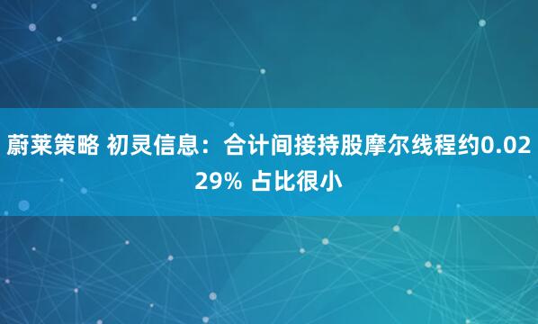 蔚莱策略 初灵信息：合计间接持股摩尔线程约0.0229% 占比很小