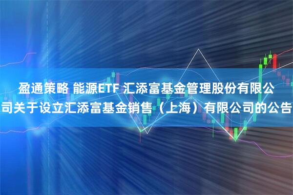 盈通策略 能源ETF 汇添富基金管理股份有限公司关于设立汇添富基金销售（上海）有限公司的公告