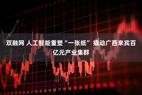 双融网 人工智能重塑“一张纸” 撬动广西来宾百亿元产业集群