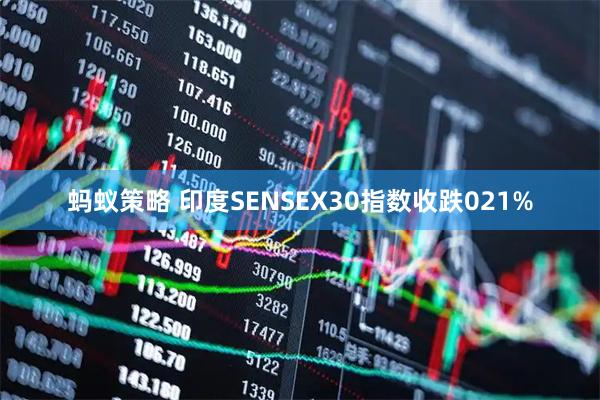 蚂蚁策略 印度SENSEX30指数收跌021%